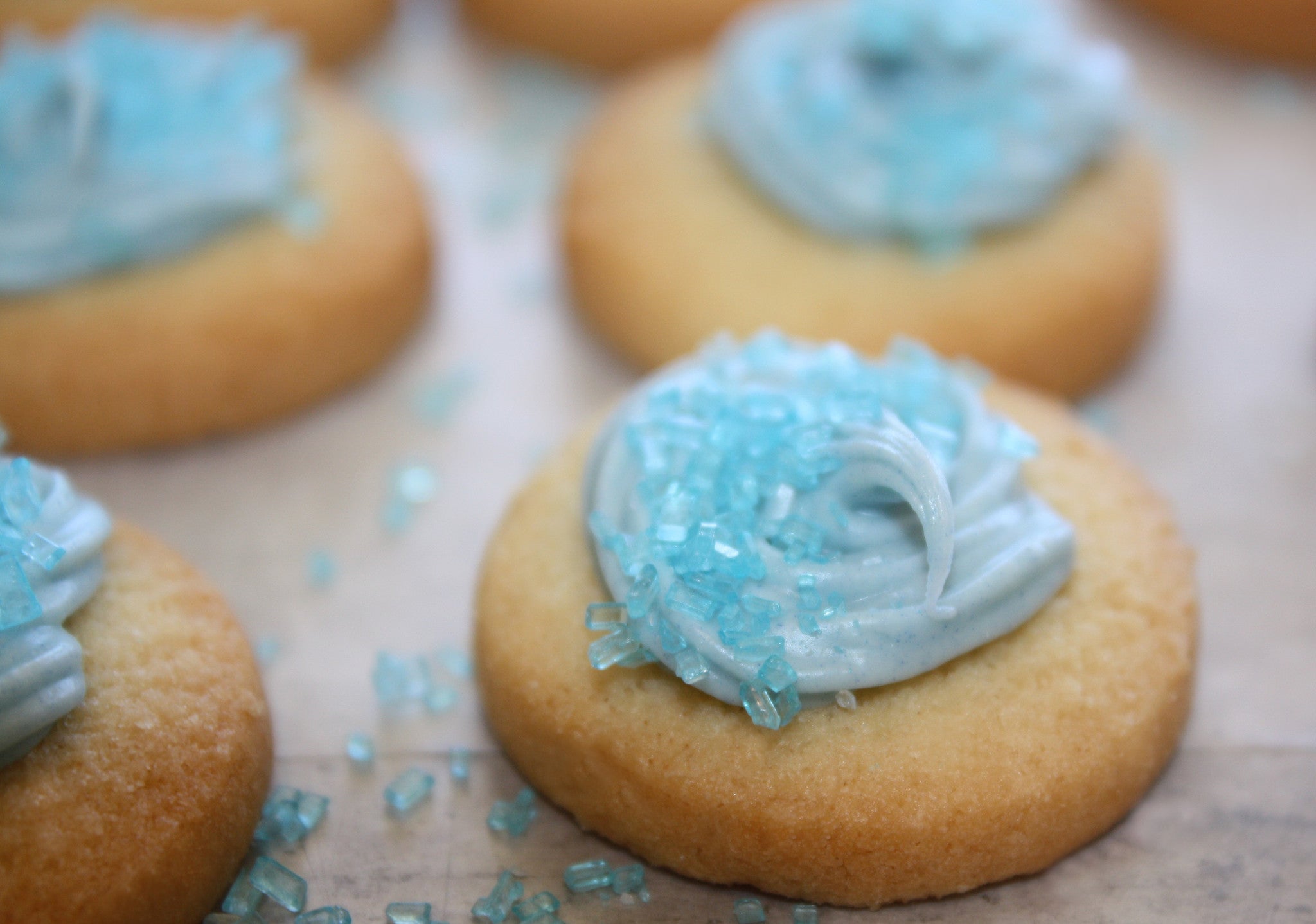 SUGAR COOKIE DOTS | PERSONALIZE or BRAND